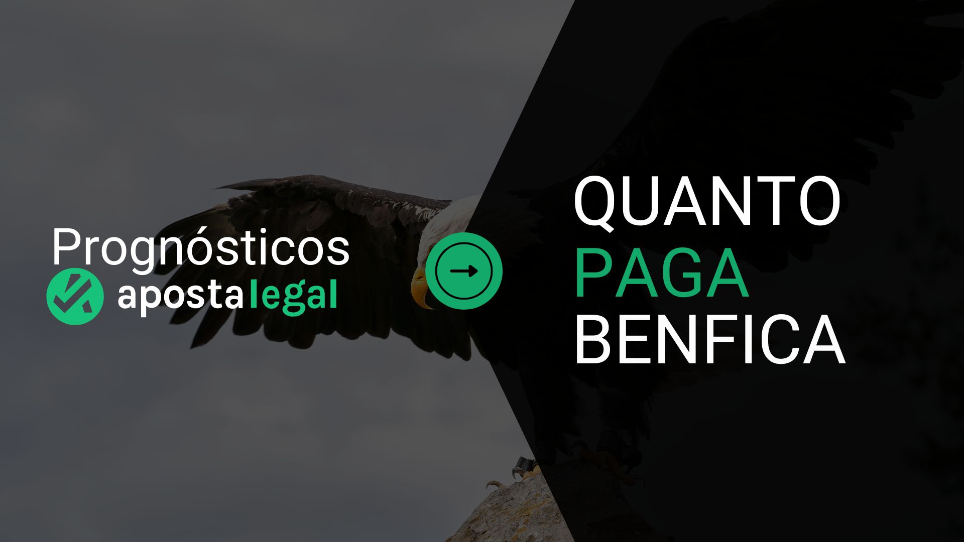 Quanto Pagam as Apostas do Benfica no Mundial? Odds Hoje