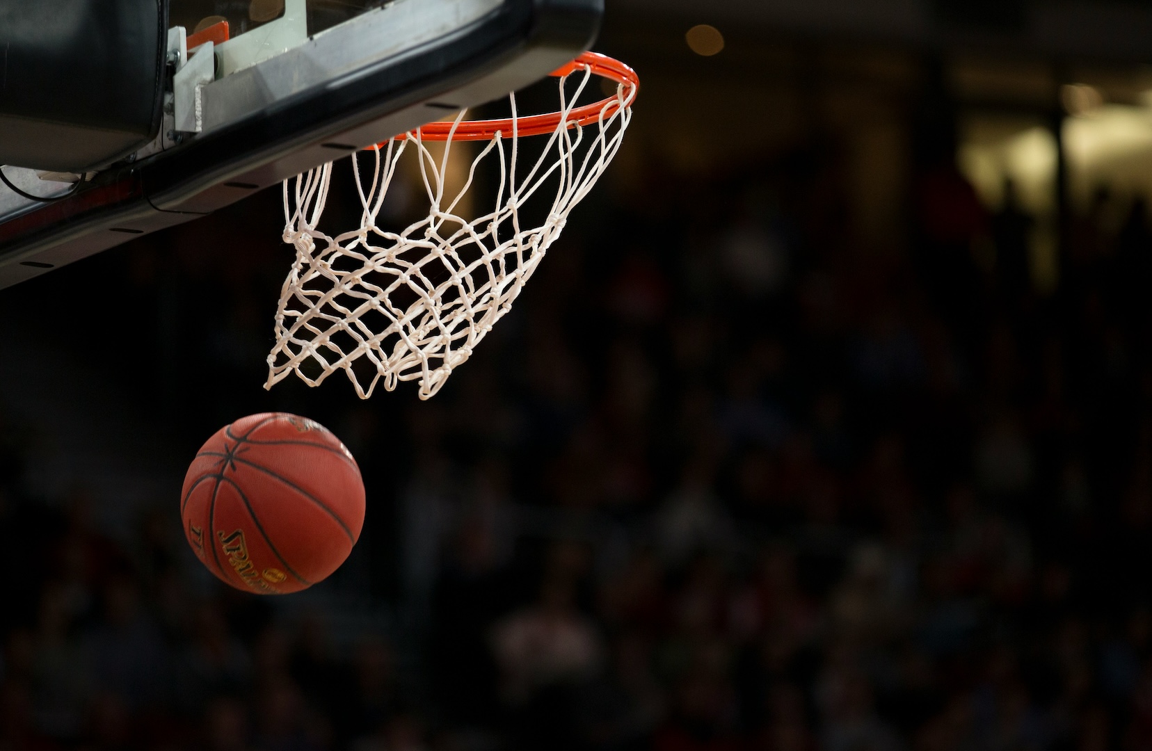 Portugal vs Estónia no EuroBasket 2025: Odds e Probabilidades
